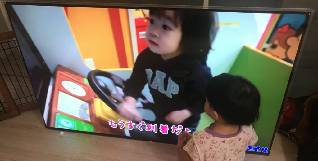 液晶テレビ保護パネルは楽天でメーカーごとにぴったりのサイズが買える 金ちゃんブログ